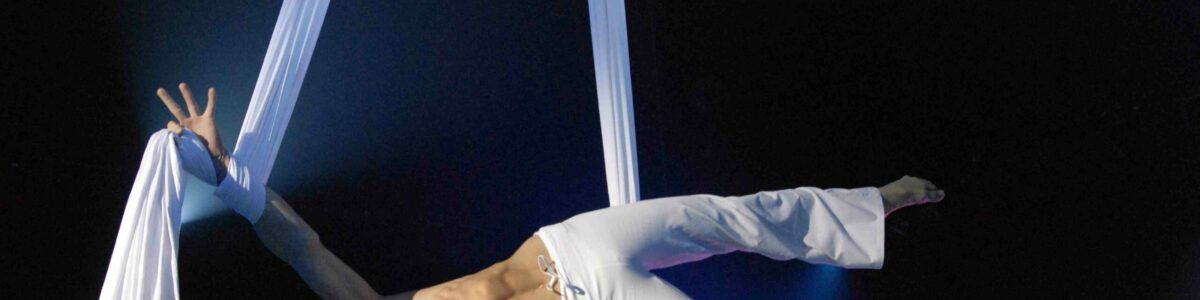Soirée interne Cirque Phénix